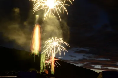 DSC_3339 (Large).JPG